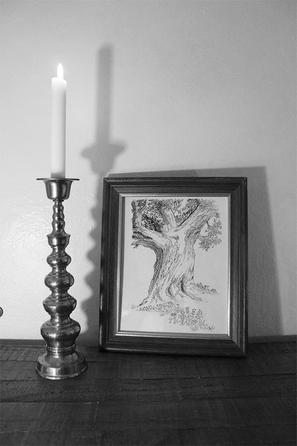 Nature Study Series 002