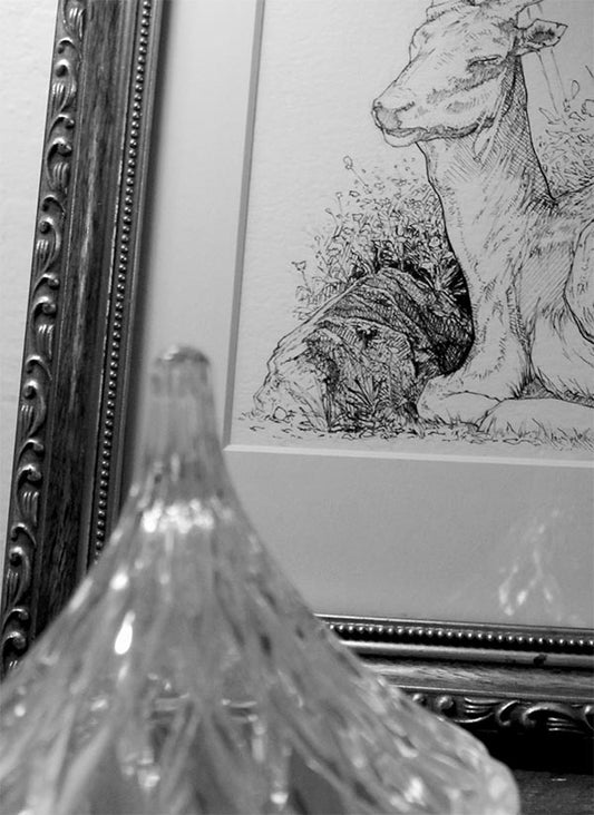 Wildlife Series 001