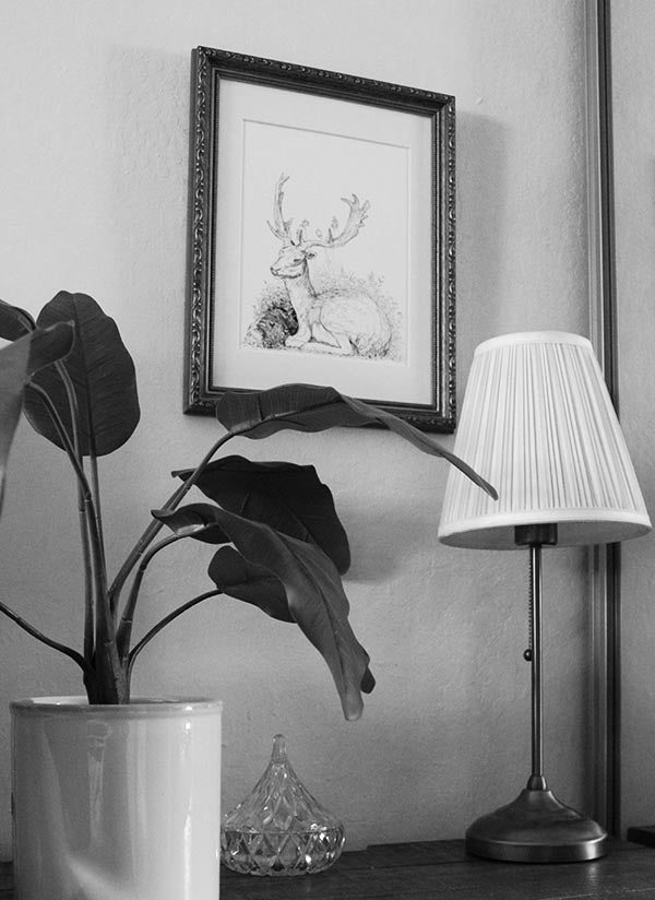 Wildlife Series 001