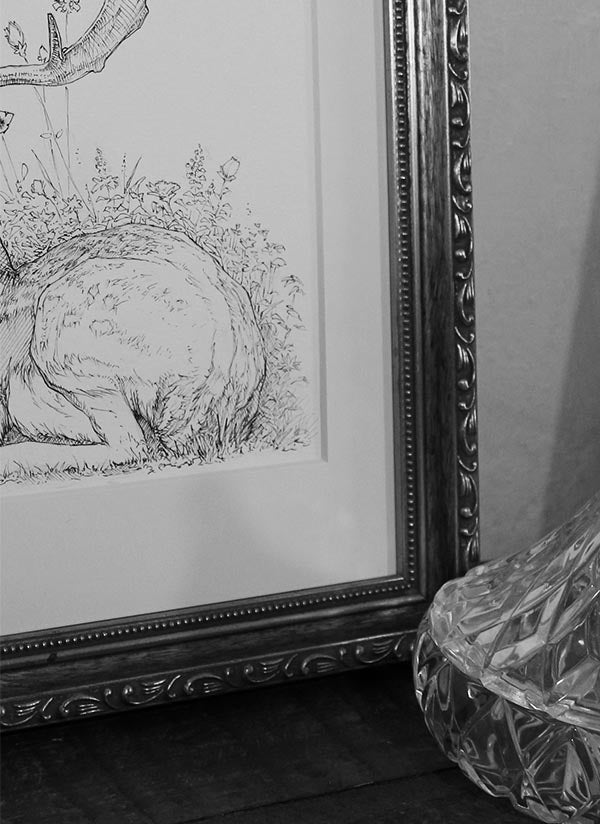 Wildlife Series 001