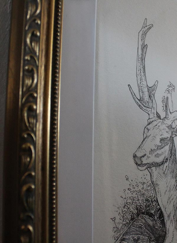 Wildlife Series 001