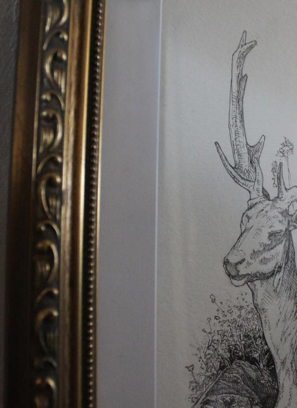 Wildlife Series 001