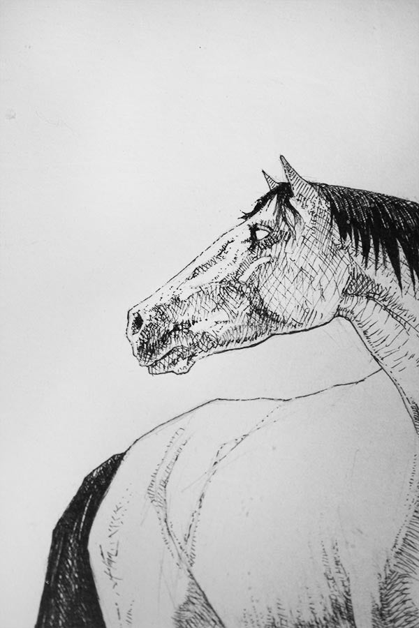 Wildlife Series 002
