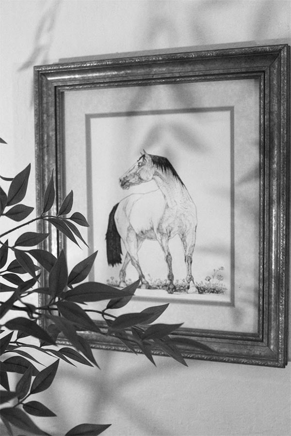 Wildlife Series 002