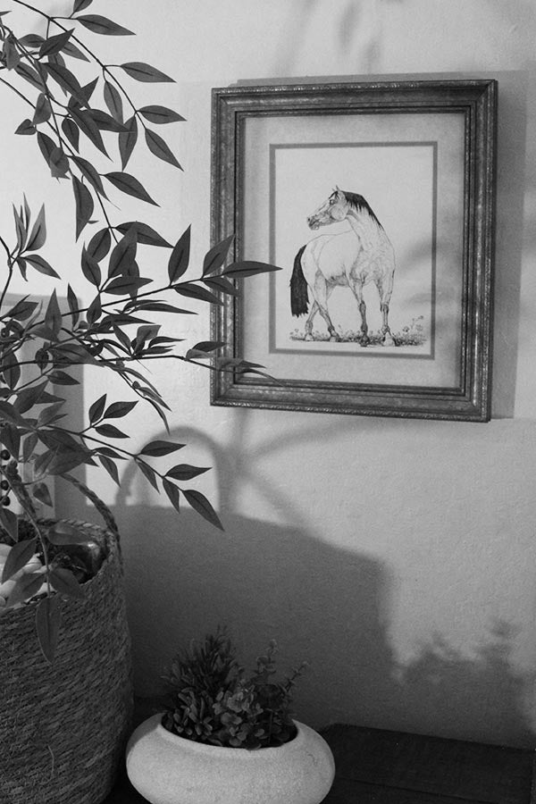 Wildlife Series 002