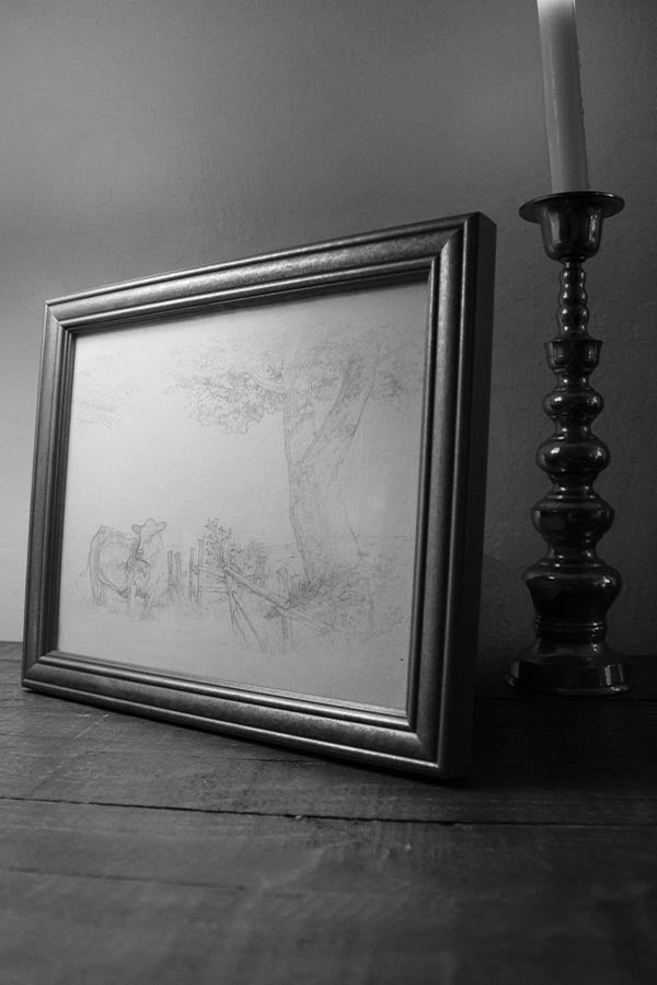 Nature Study Series 001