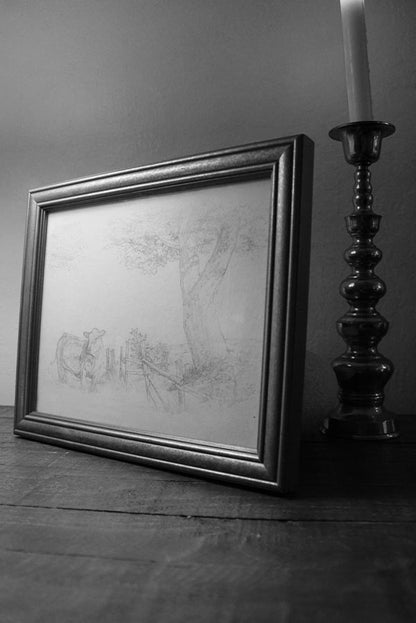 Nature Study Series 001