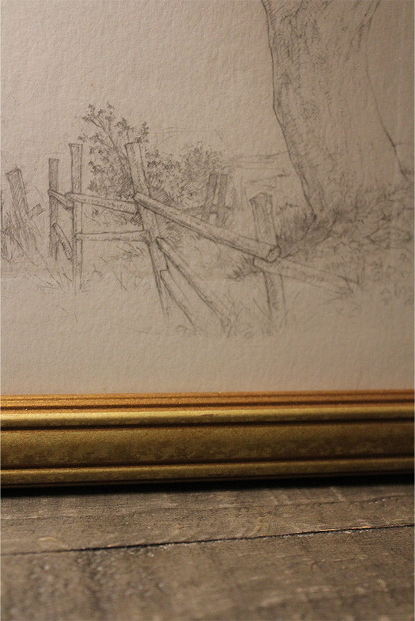 Nature Study Series 001