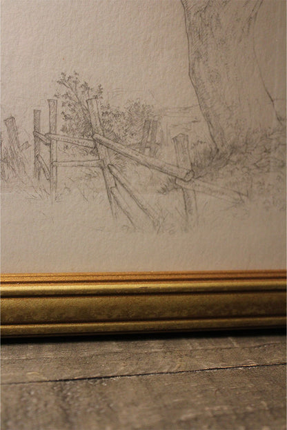 Nature Study Series 001